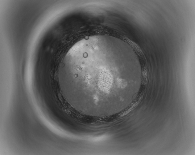 X0000116510765200912161338