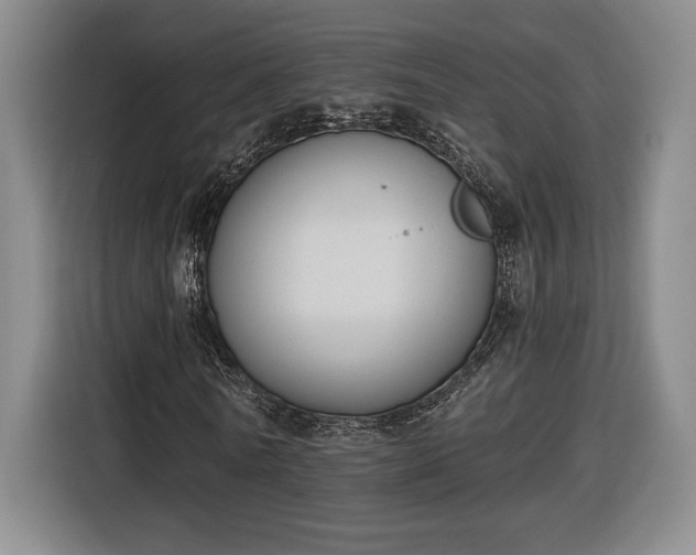 X0000116510770200912161338