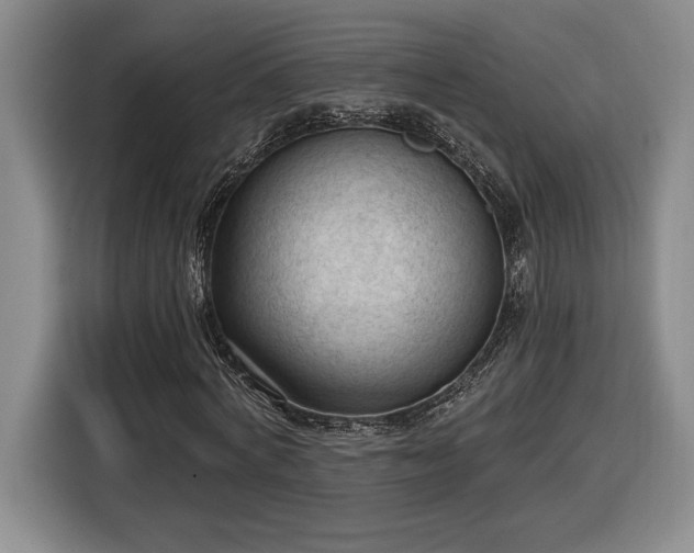 X0000116510772200912161338