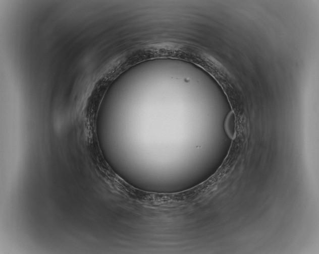 X0000116510774200912161338