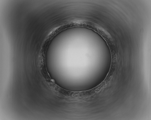 X0000116510776200912161338