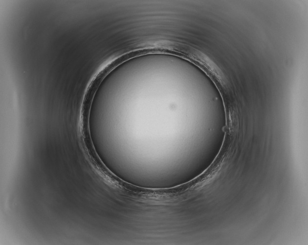 X0000116510780200912161338