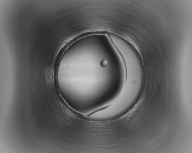 X0000116510781200912161338