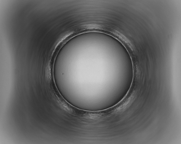 X0000116510782200912161338