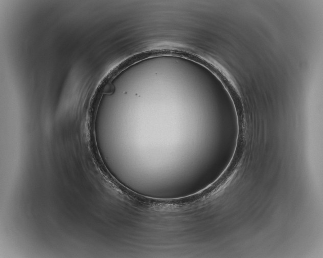 X0000116510783200912161338