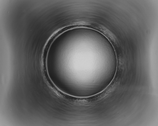 X0000116510784200912161338