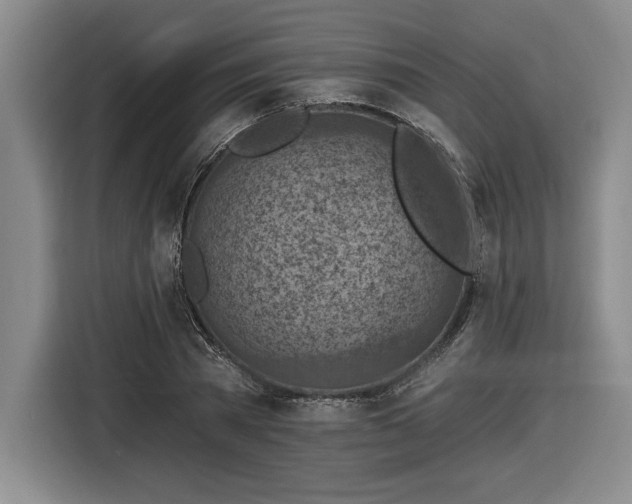 X0000116510785200912161338