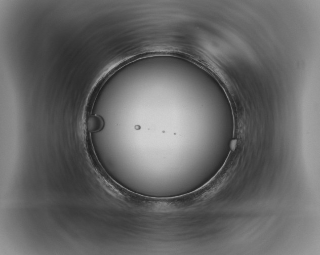 X0000116510787200912161338