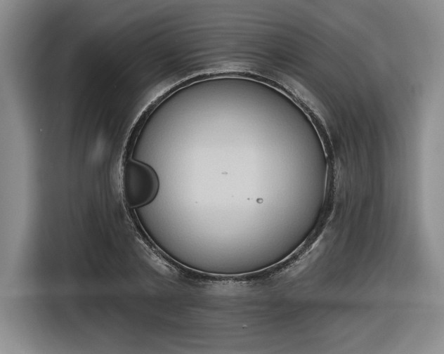 X0000116510789200912161338