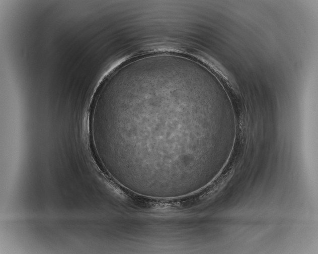 X0000116510790200912161338