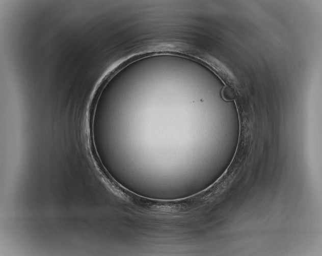 X0000116510792200912161338