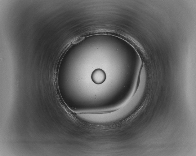 X0000116510793200912161338