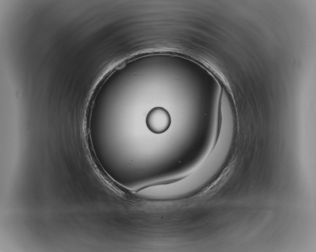 X0000116510797200912161337