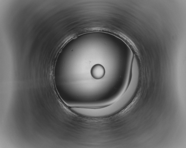 X0000116510801200912161337