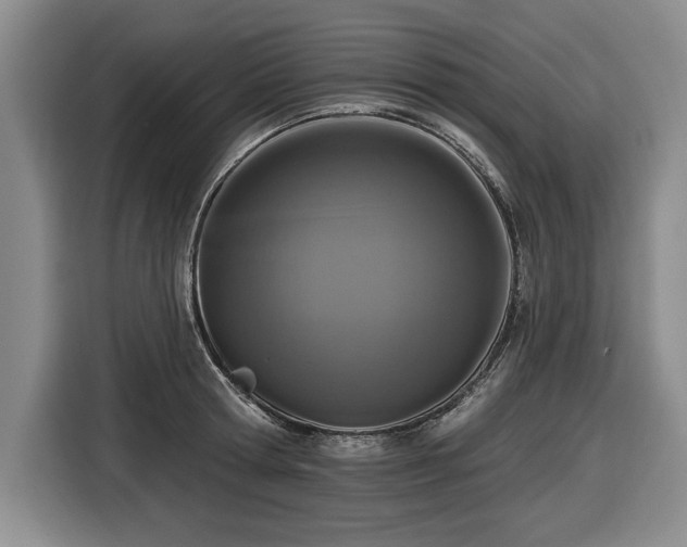 X0000116510802200912161337