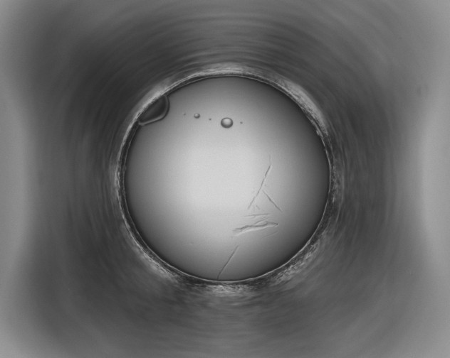 X0000116510805200912161337