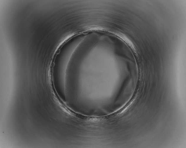 X0000116510806200912161337