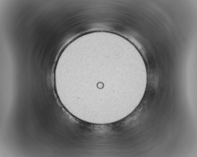 X0000116510807200912161337