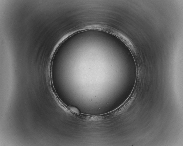 X0000116510808200912161337