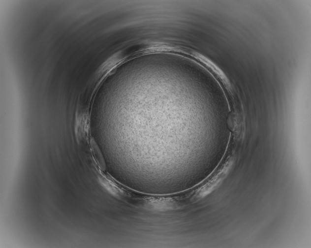 X0000116510809200912161337