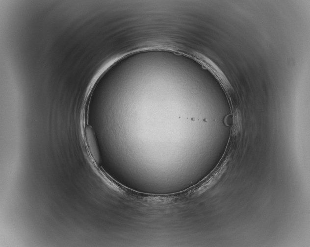 X0000116510812200912161337