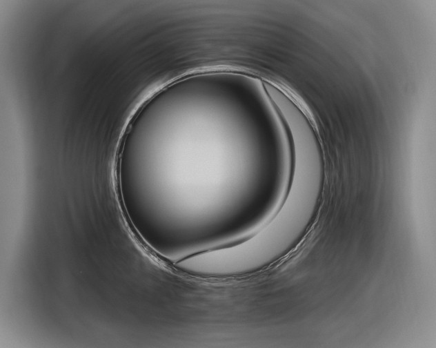 X0000116510813200912161337