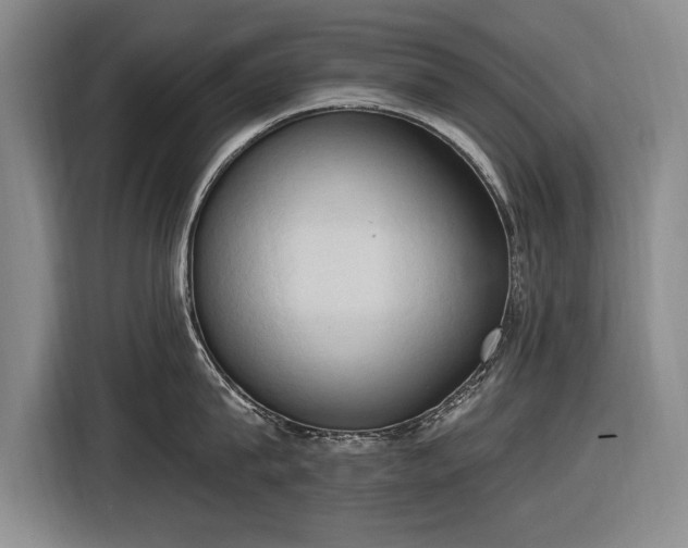 X0000116510815200912161337