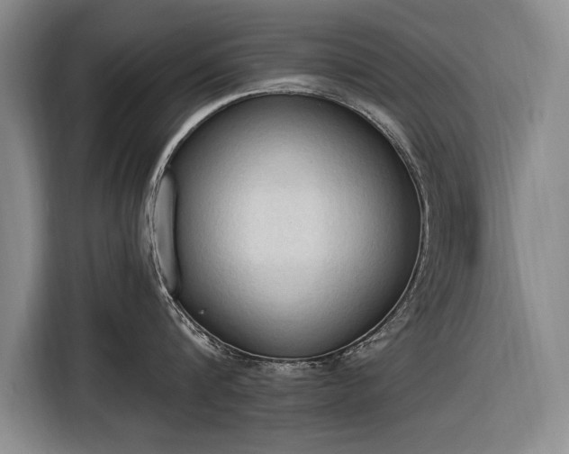 X0000116510816200912161337