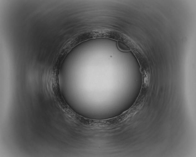 X0000116510819200912161337