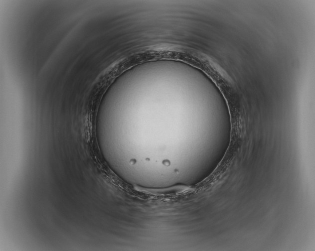 X0000116510821200912161337