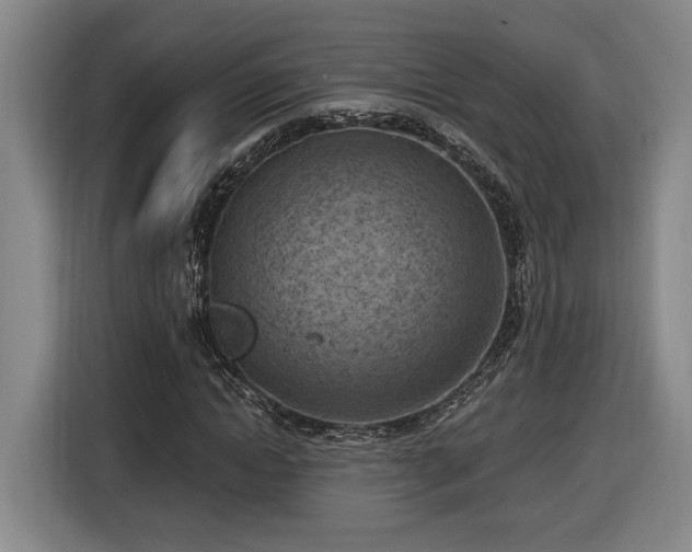 X0000116510822200912161337