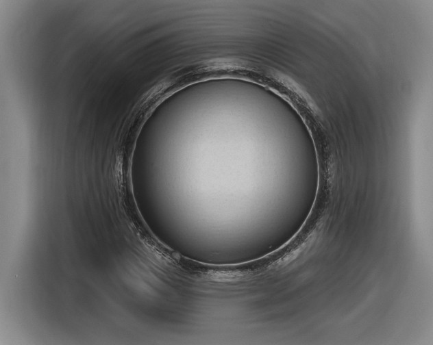 X0000116510825200912161337