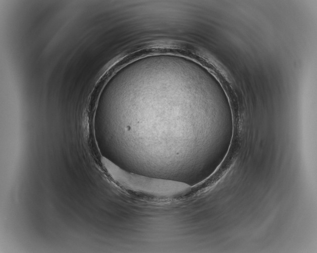 X0000116510829200912161337