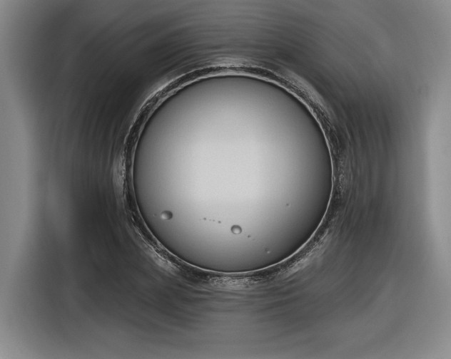 X0000116510831200912161337