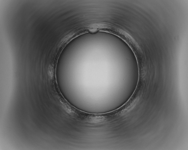 X0000116510833200912161337