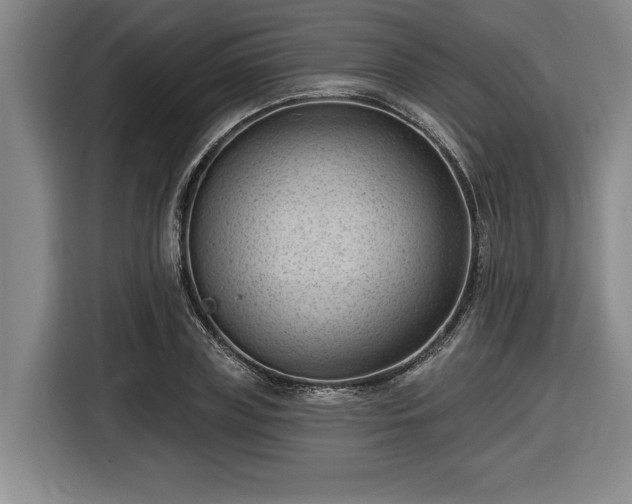 X0000116510835200912161337