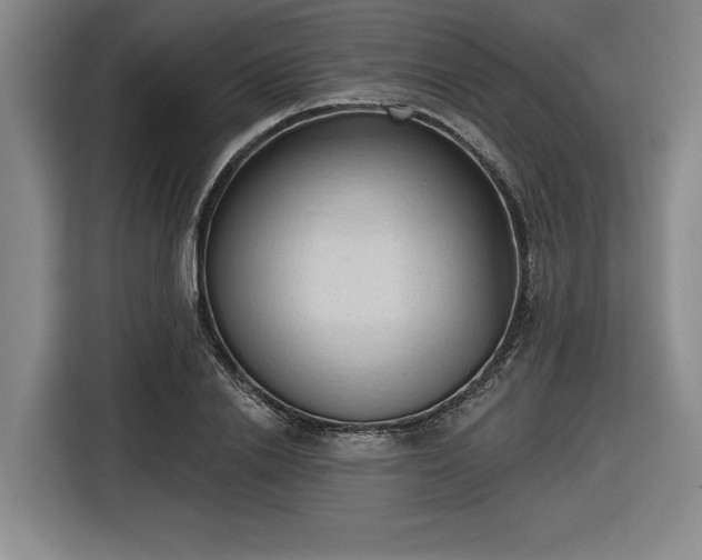 X0000116510838200912161337