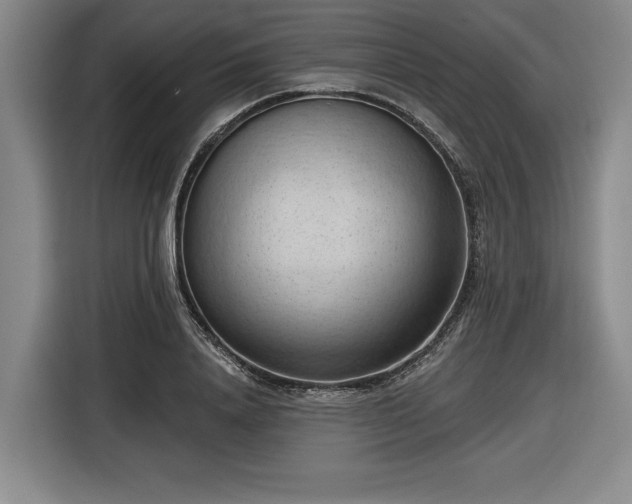 X0000116510840200912161337