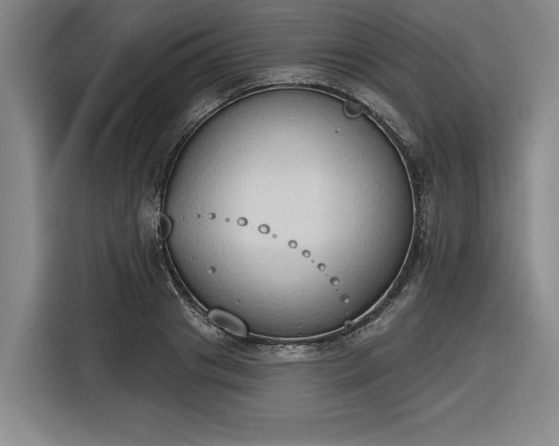 X0000116510841200912161337