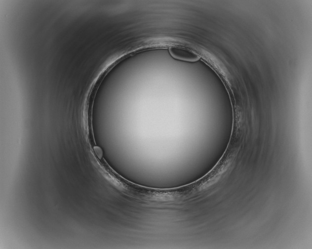 X0000116510843200912161337