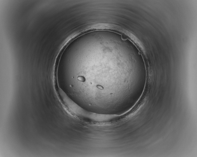 X0000116510845200912161337