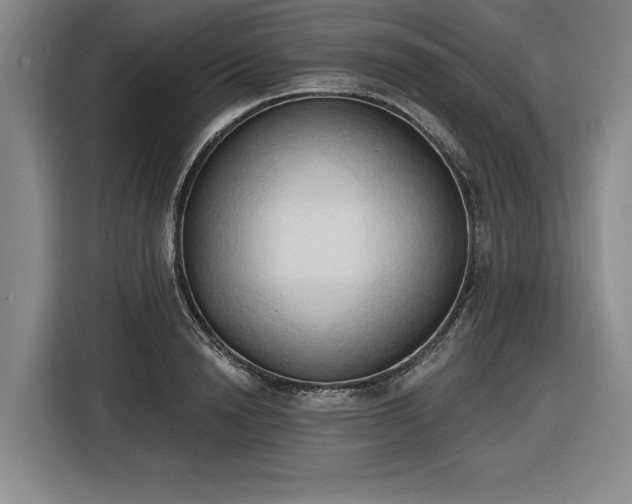 X0000116510846200912161337