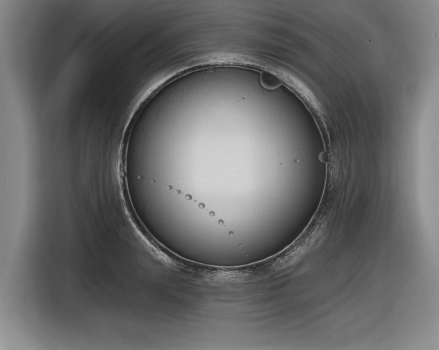 X0000116510847200912161337