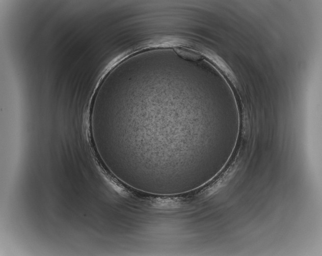 X0000116510850200912161337