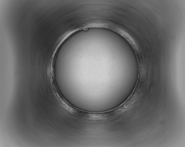 X0000116510852200912161337