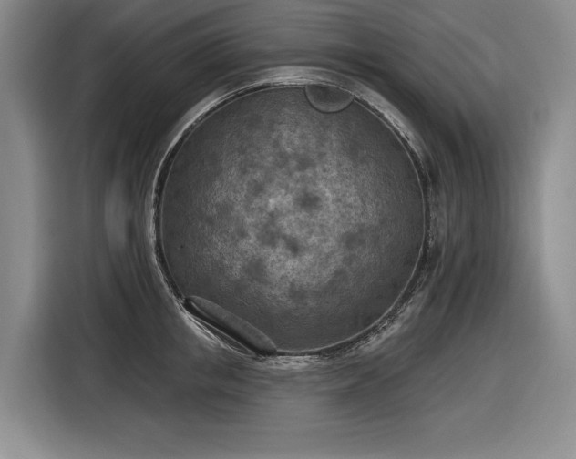 X0000116510853200912161337