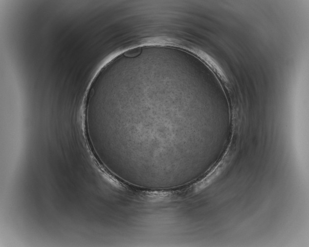 X0000116510854200912161337