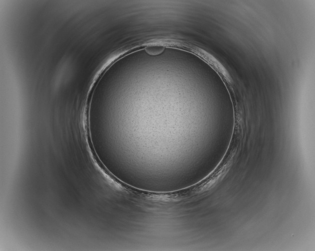 X0000116510855200912161337