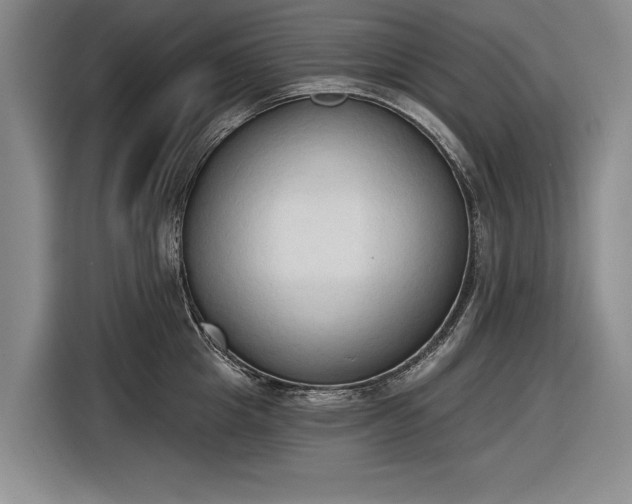 X0000116510857200912161337