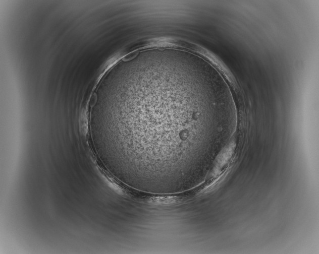 X0000116510858200912161337